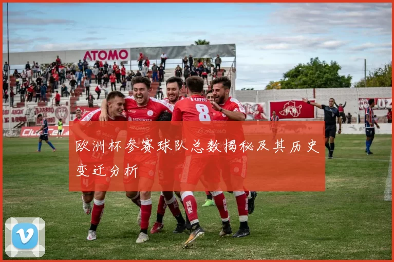 欧洲杯参赛球队总数揭秘及其历史变迁分析