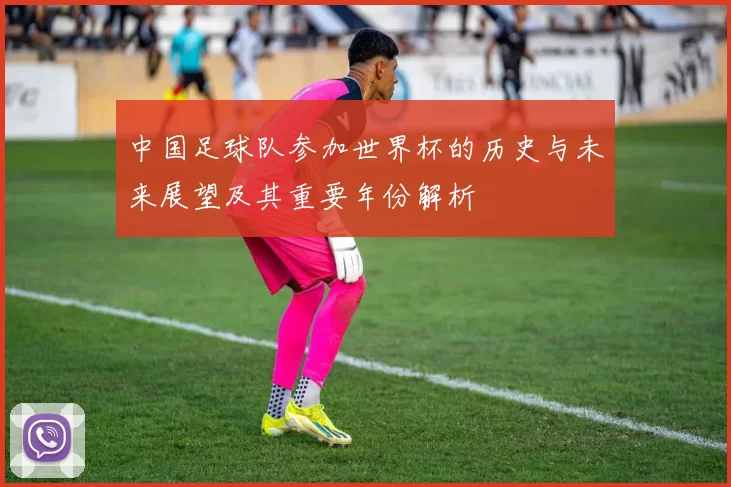 中国足球队参加世界杯的历史与未来展望及其重要年份解析