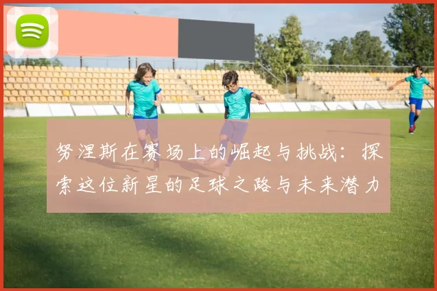 努涅斯在赛场上的崛起与挑战：探索这位新星的足球之路与未来潜力